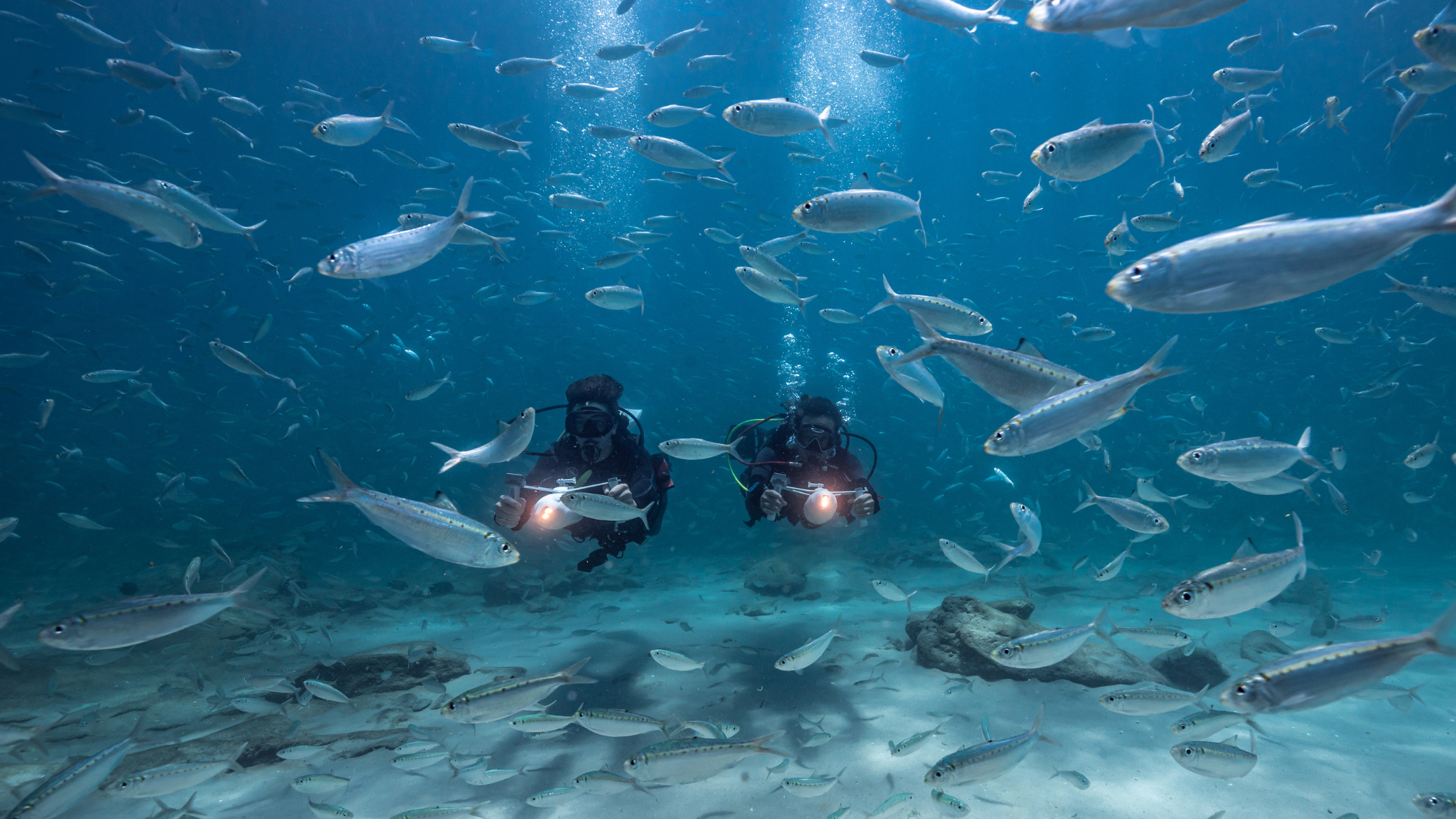 Propel Yourself Into Adventure — underwater divers